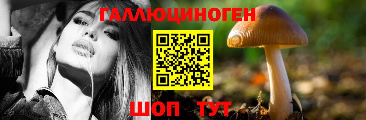 Галлюциногенные грибы Psilocybine cubensis  Вход с VPN  Петропавловск-Камчатский  Галлюциногенные грибы ЛСД 